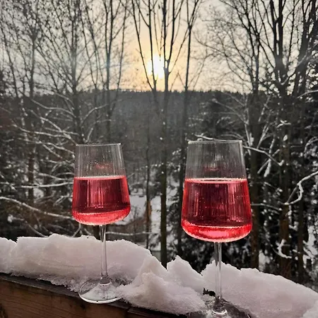 Alpesi faház Olesnice