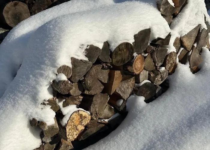 Chalet Olesnice Olesnice v Orlickych horach